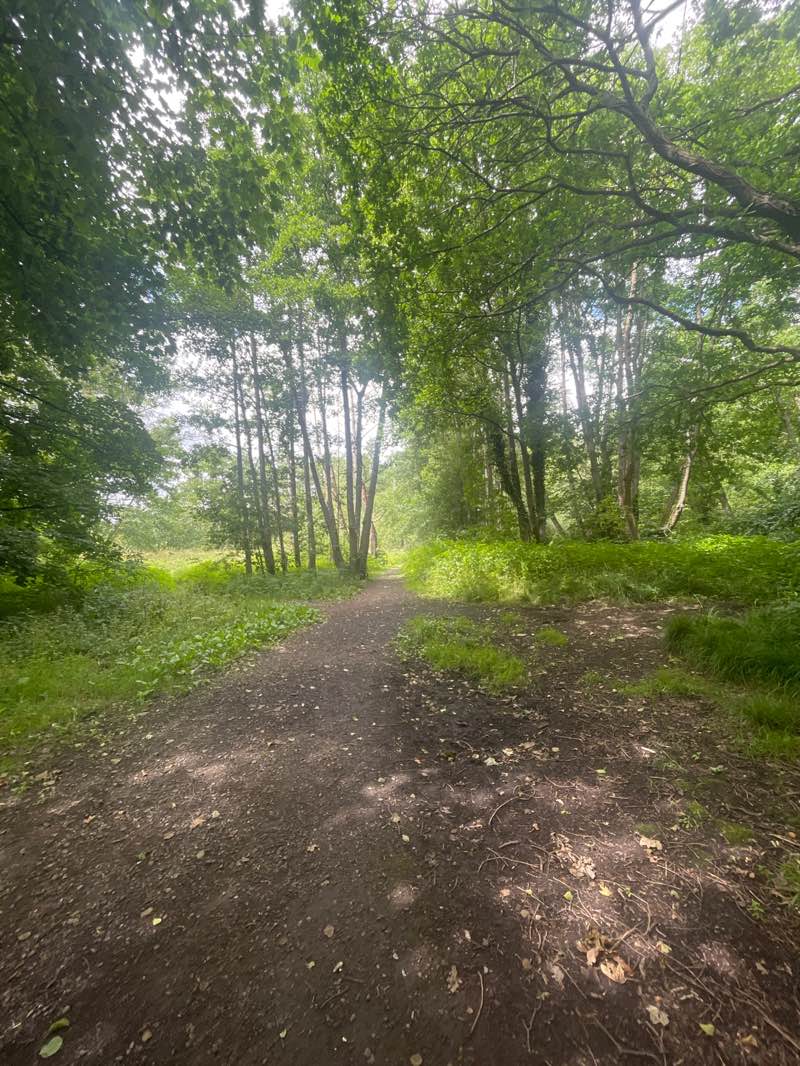 walking near me in Yarrow Valley Country Park in summer