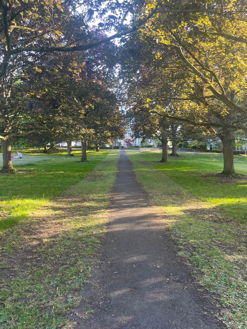 walking near me in The Stray West Park in summer