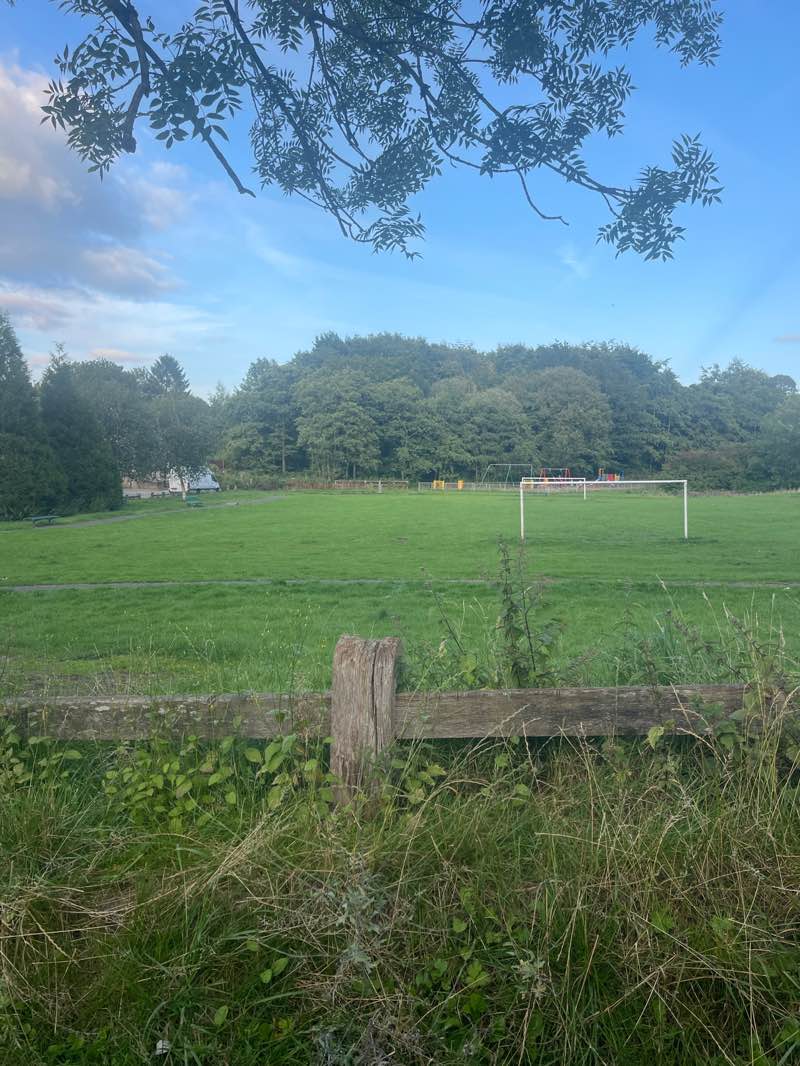 walking near me in Healy Wood in autumn