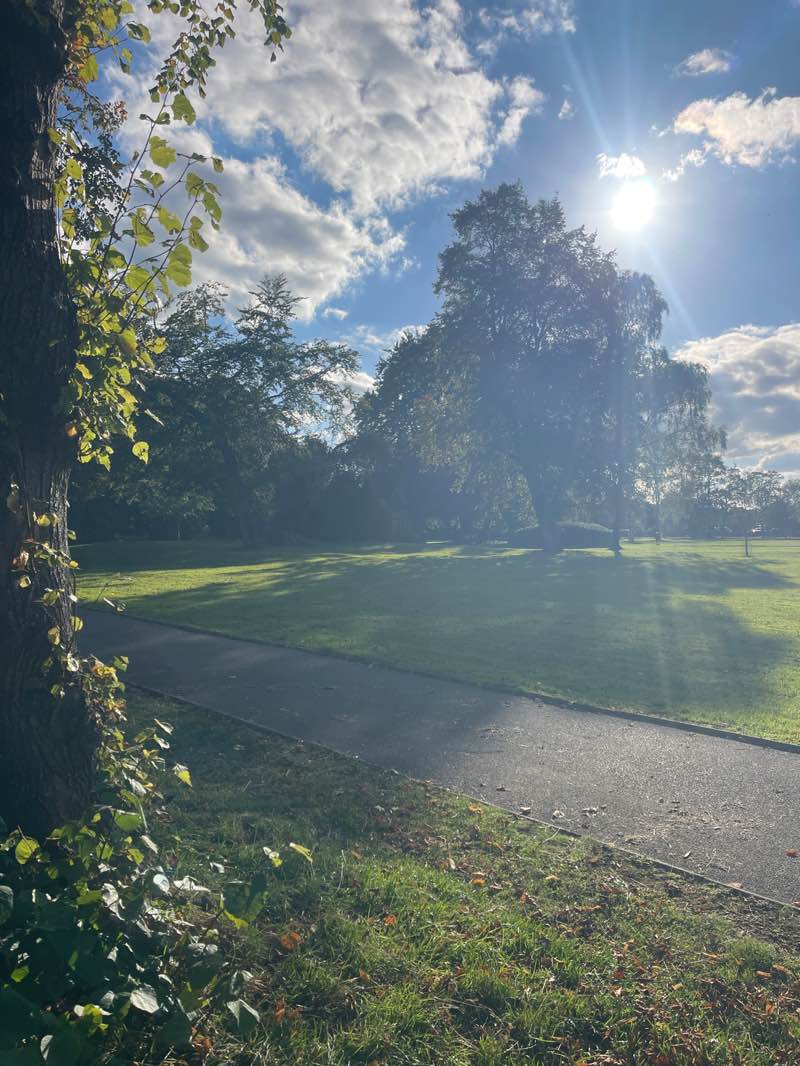 walking near me in Mercer Park in autumn