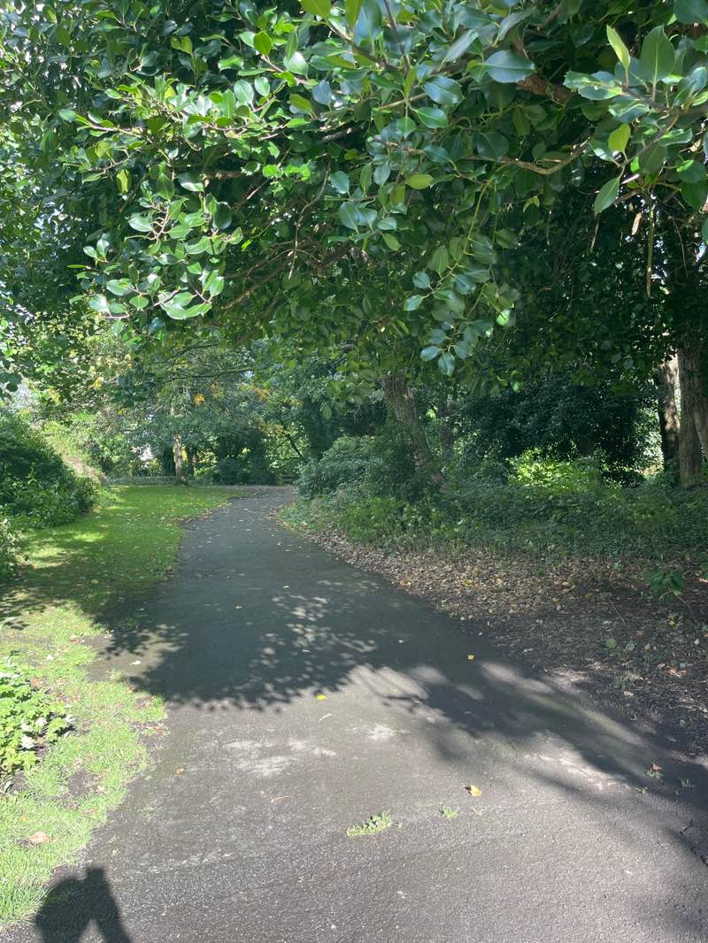 walking near me in Padiham Memorial Park in autumn