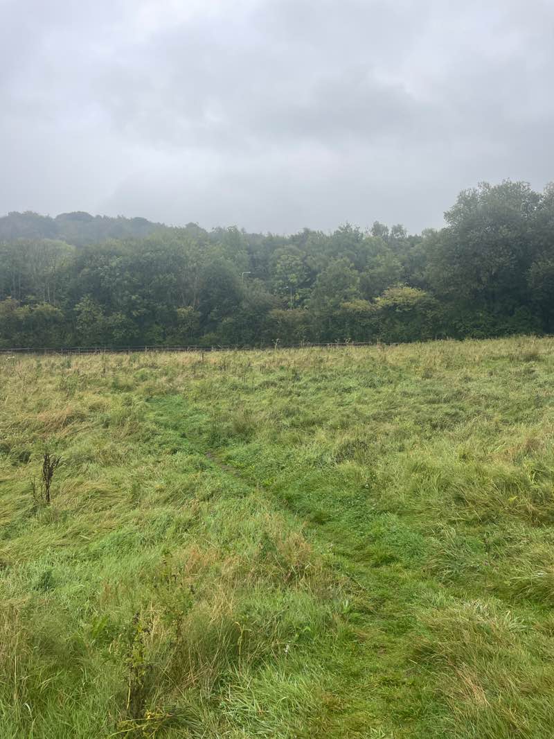 walking near me in Hellicliffs MTB Park in autumn