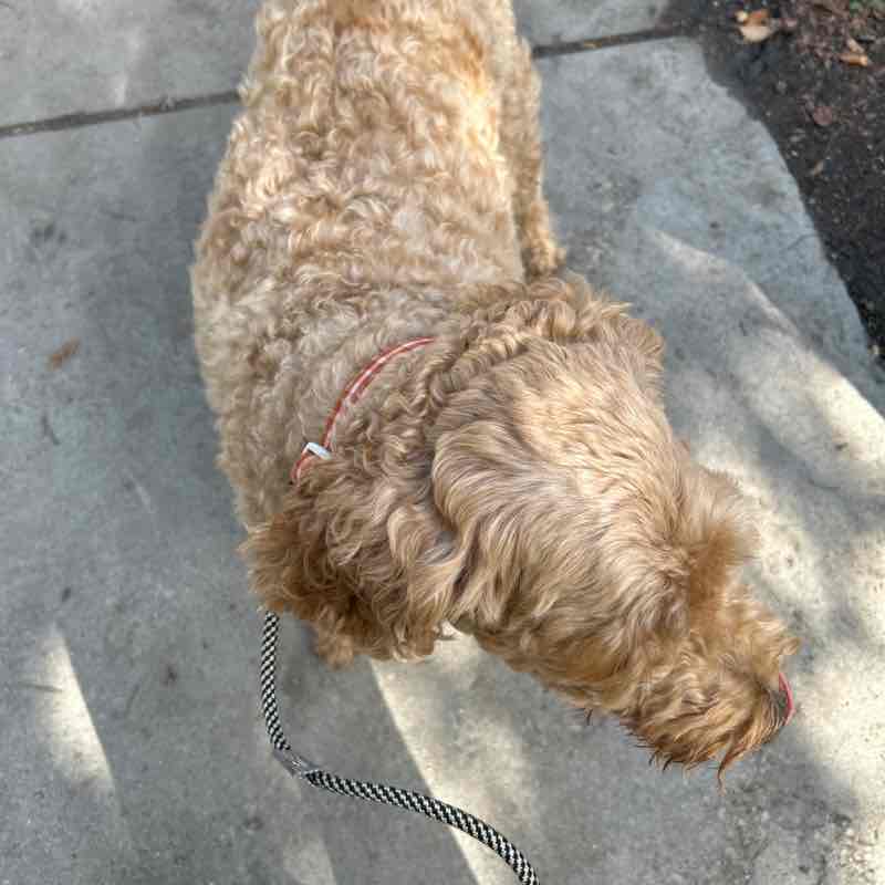 Milly 🇵🇷🇺🇸 post 2