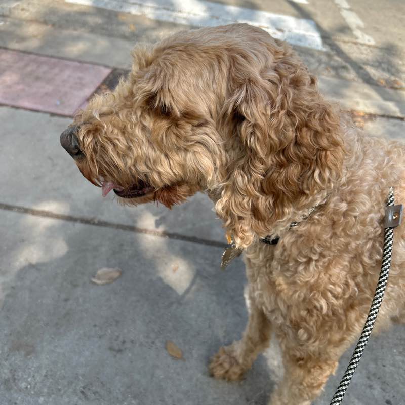 Milly 🇵🇷🇺🇸 post 1