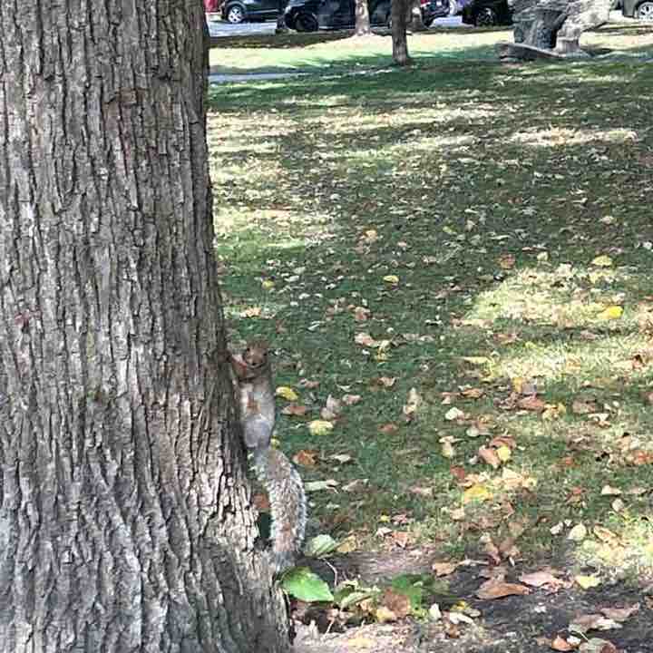 Milly 🇵🇷🇺🇸 post 3