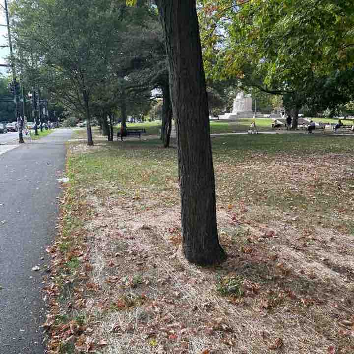 Milly 🇵🇷🇺🇸 post 2