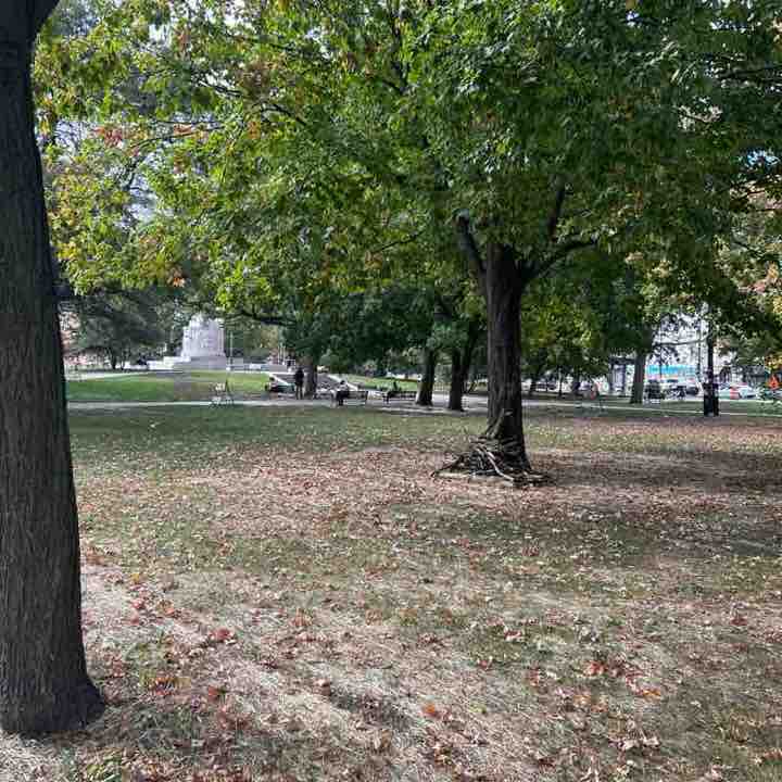 Milly 🇵🇷🇺🇸 post 1