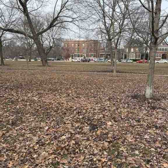 Milly 🇵🇷🇺🇸 post 1