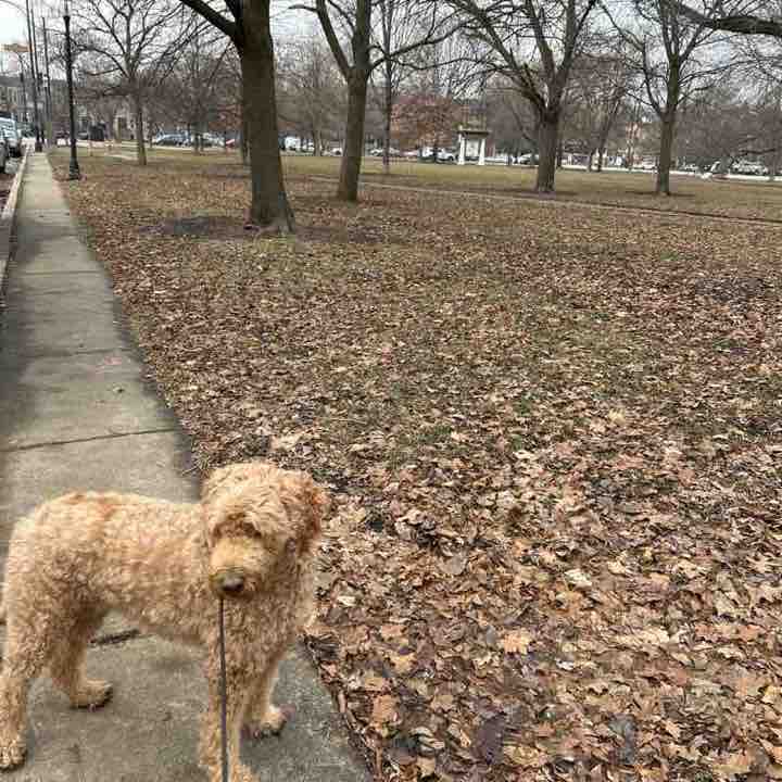 Milly 🇵🇷🇺🇸 post 2