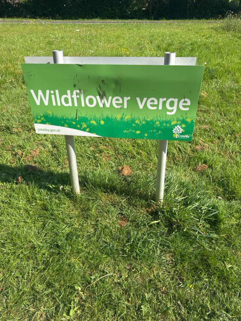 walking near me in Gratton's Park in spring
