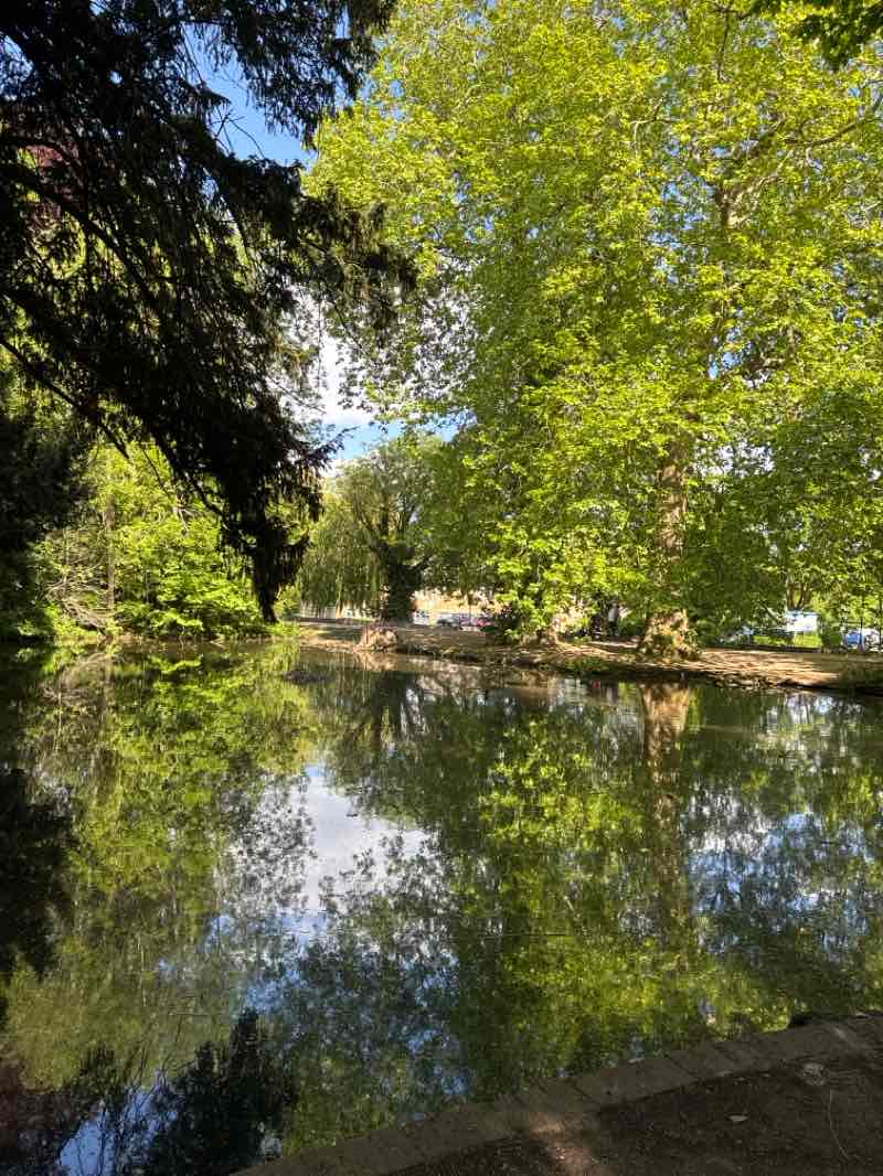walking near me in Whit Hern Park in spring