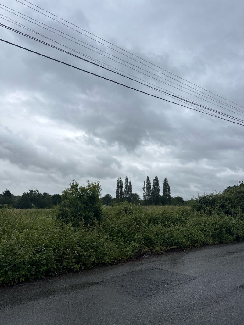 walking near me in Ray Park in summer
