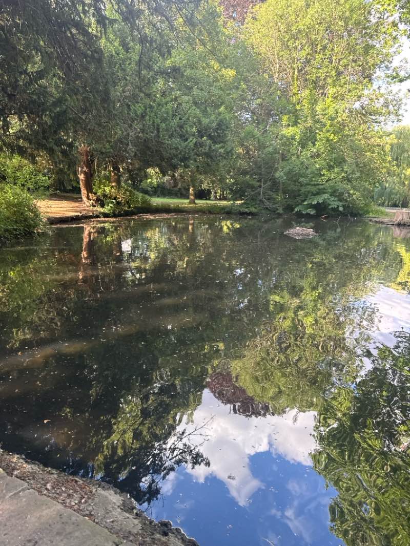 walking near me in Cedars Park in summer