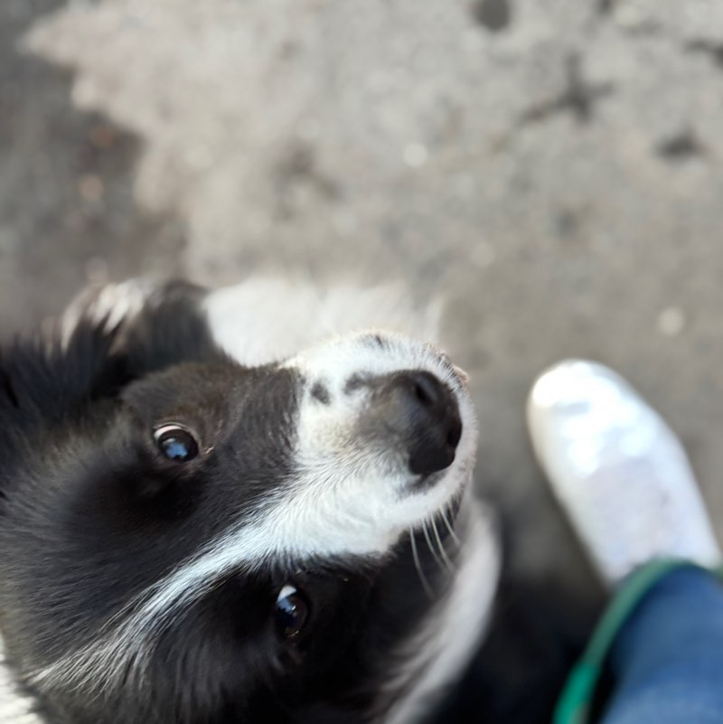 Аngelinmask🇷🇺 EKБ💋 post 1