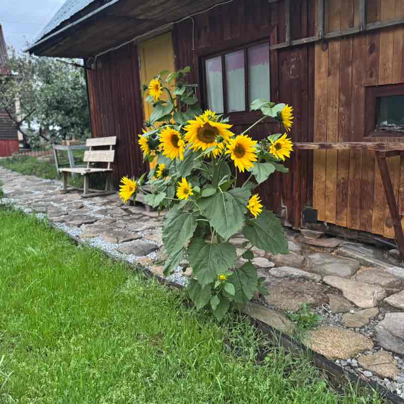 Аngelinmask🇷🇺 EKБ💋 post 2