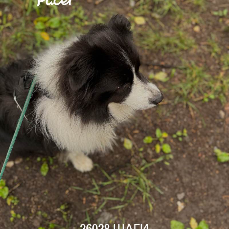 Аngelinmask🇷🇺 EKБ💋 post 1