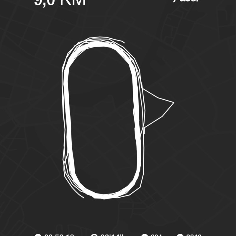 PacerТоварищ post 1