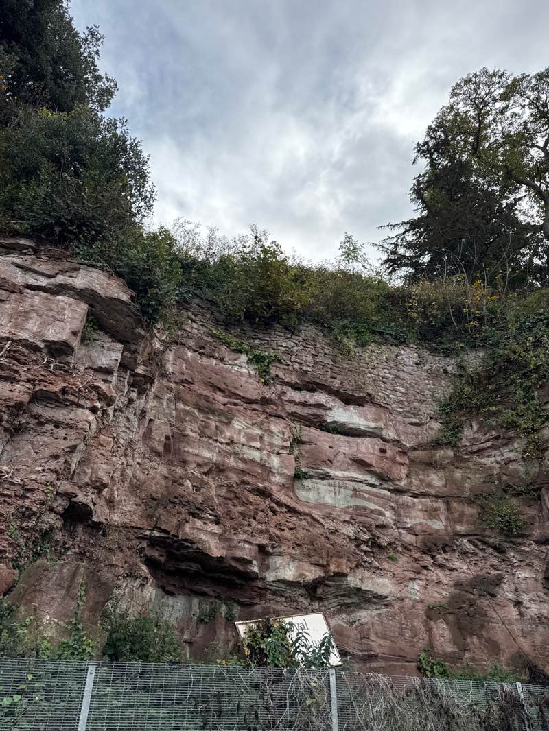 walking near me in The Prospect in autumn