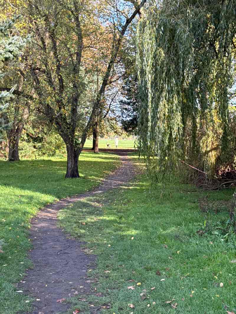 walking near me in Brookfield Park in autumn
