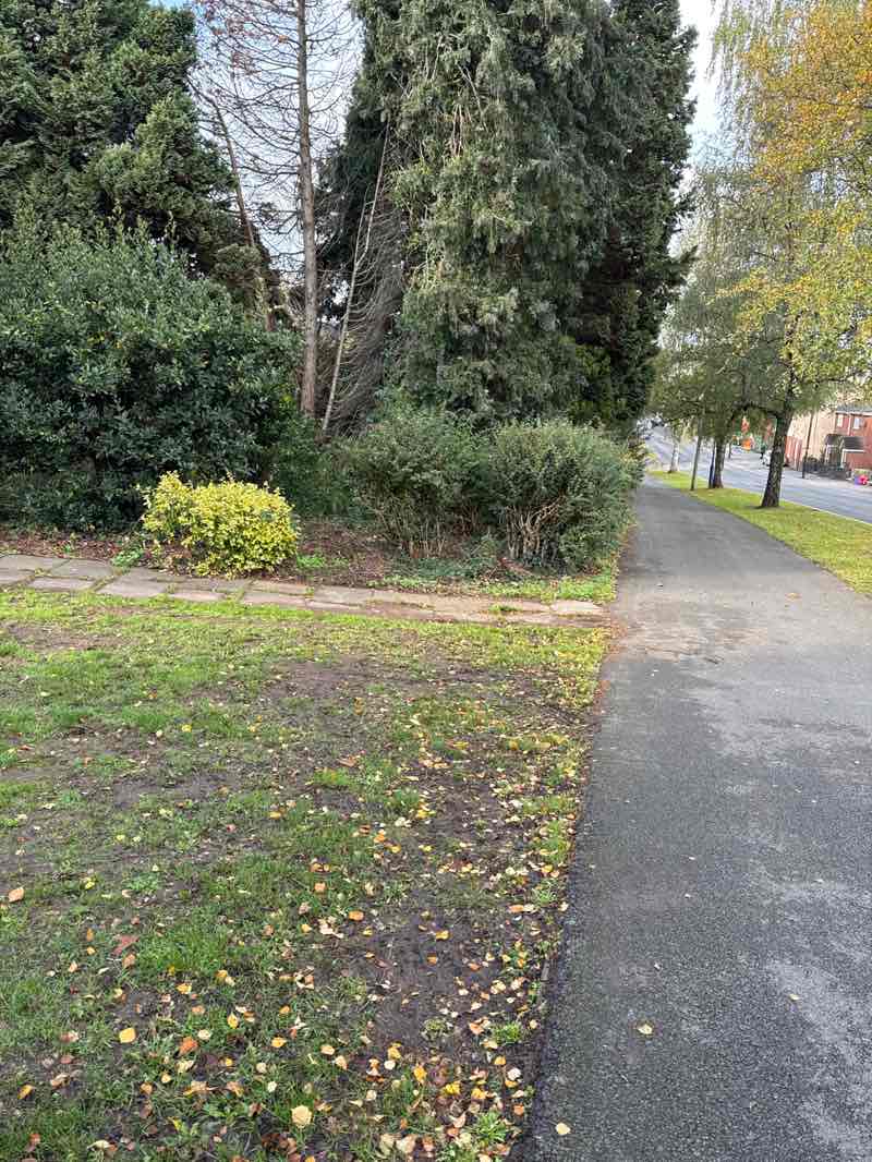 walking near me in Linda Vista Gardens in autumn