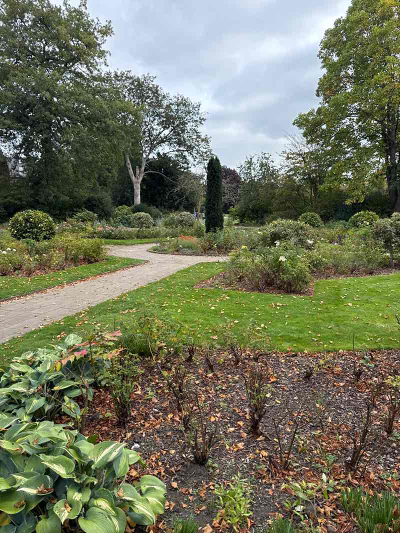 walking near me in Grosvenor Park in autumn