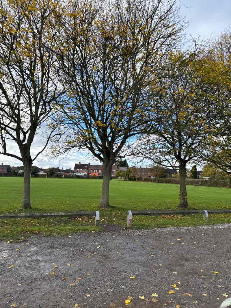 walking near me in The Barony in autumn