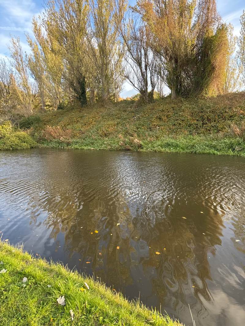 walking near me in Ridgeway Grundy Park in autumn