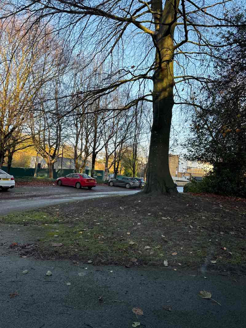 walking near me in Brookfields Park in autumn