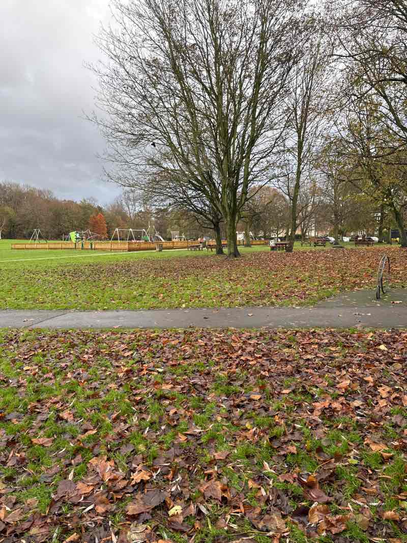 walking near me in The Moor in autumn