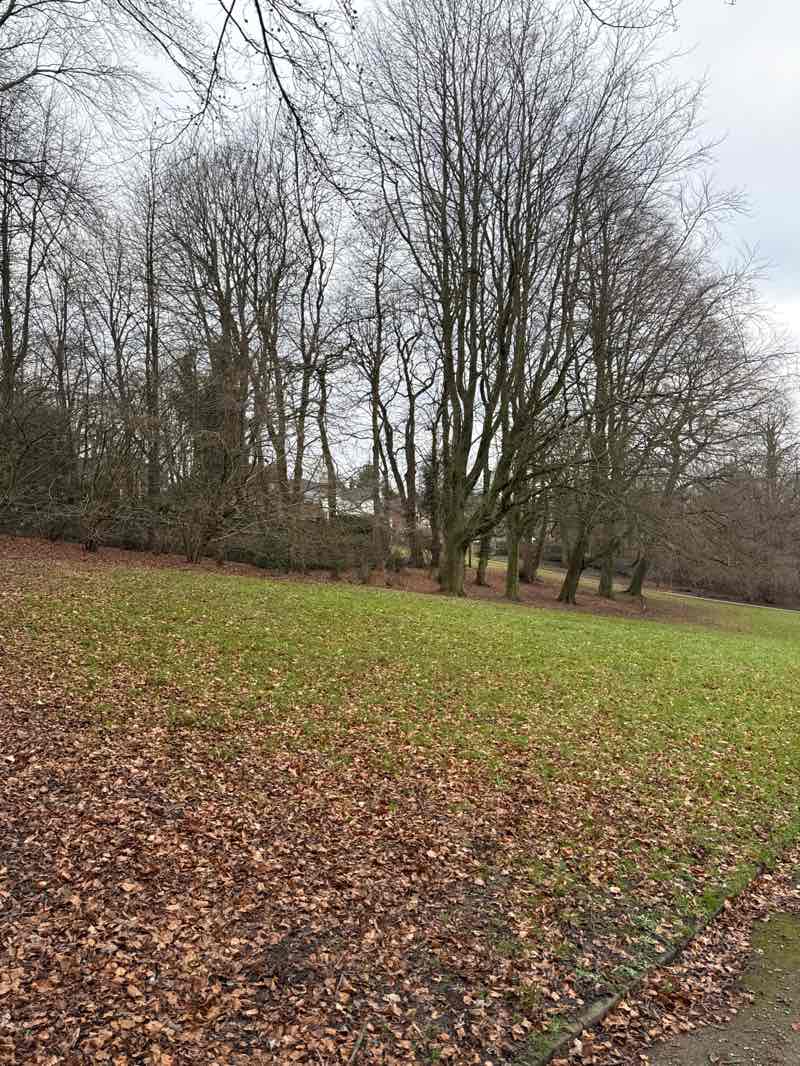 walking near me in Brough Park in winter