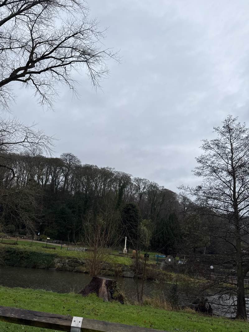 walking near me in Congleton Park in winter