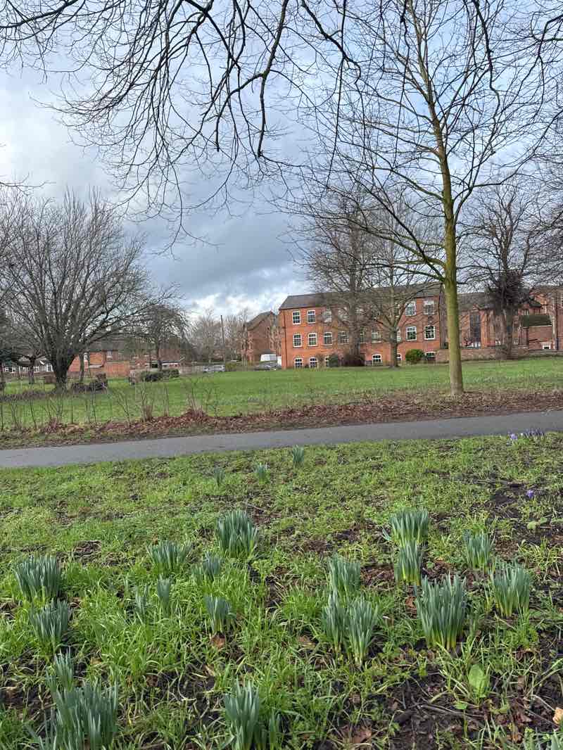 walking near me in Coronation Gardens in winter
