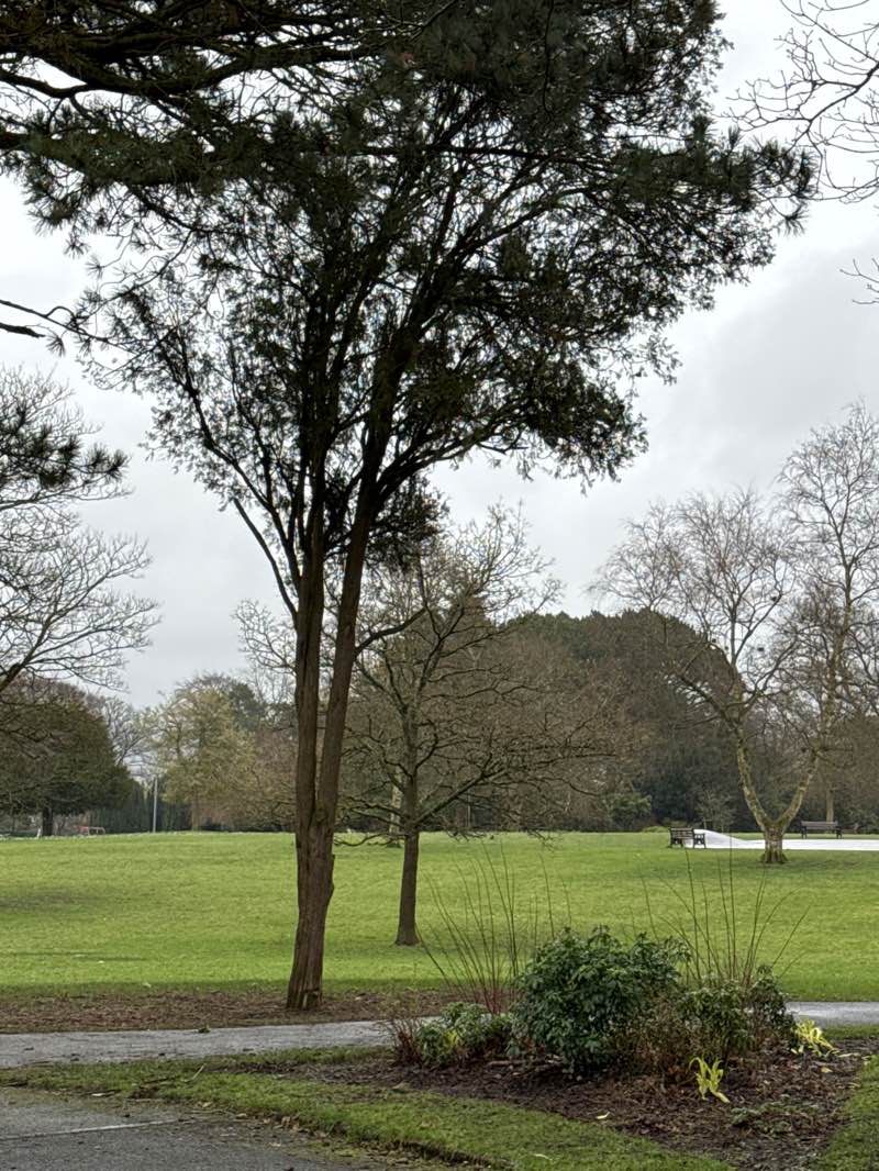 walking near me in West Park in winter