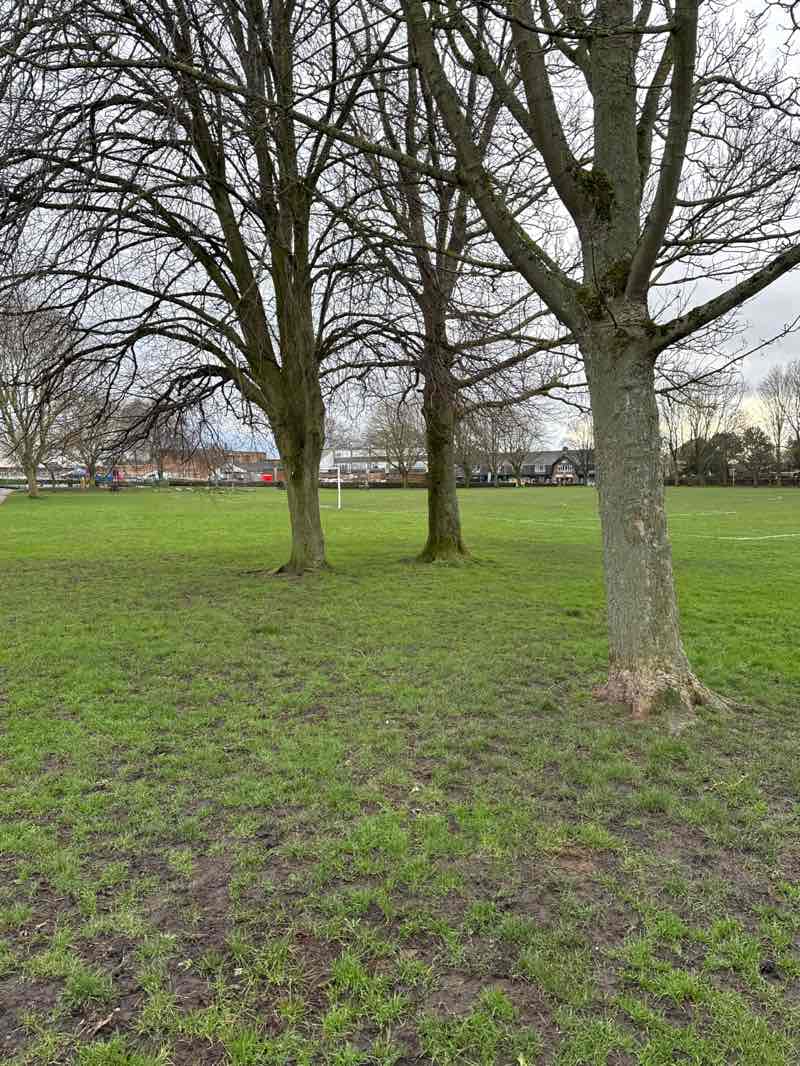 walking near me in The Puddydale in winter