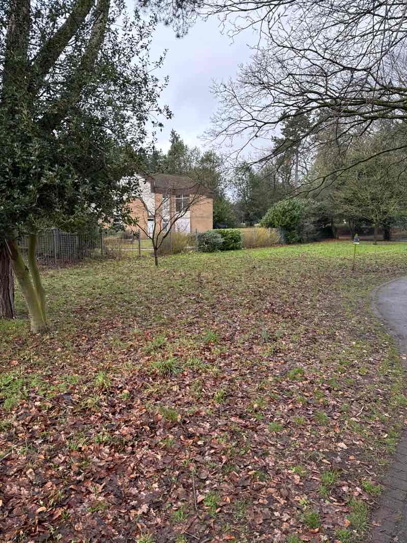 walking near me in Milton Park in winter