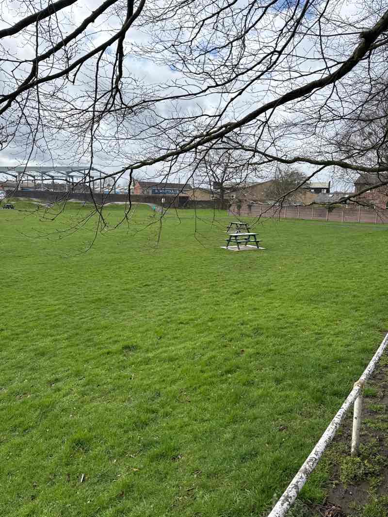 walking near me in Windmill Park in spring