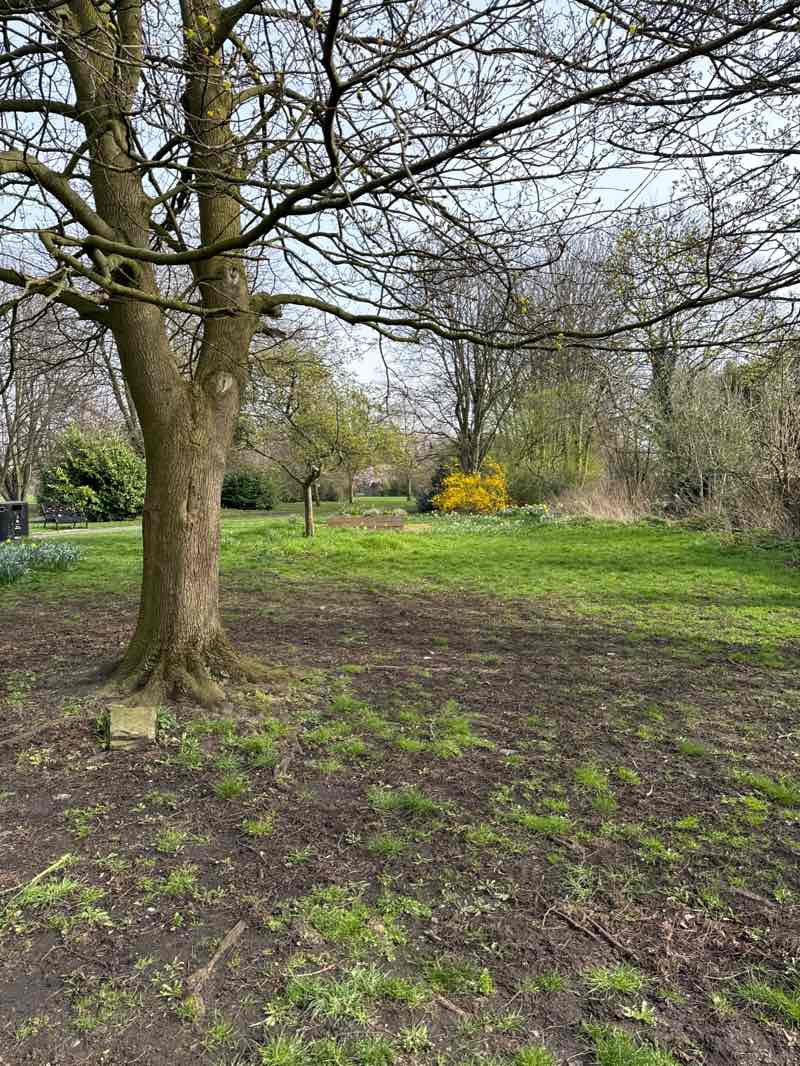 walking near me in Lostock Park in spring