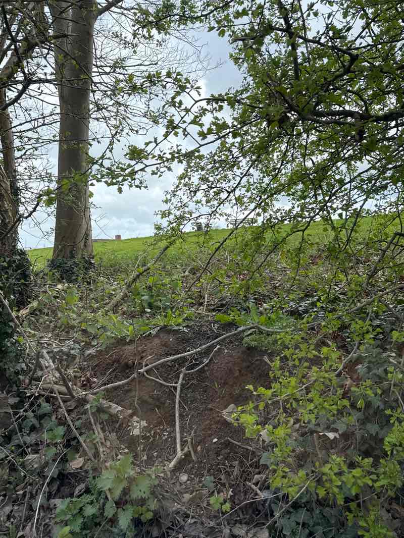 walking near me in Churchfields in spring