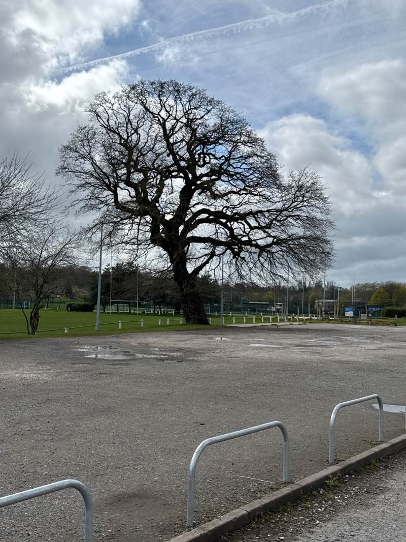 walking near me in Moss Farm Leisure Complex in spring