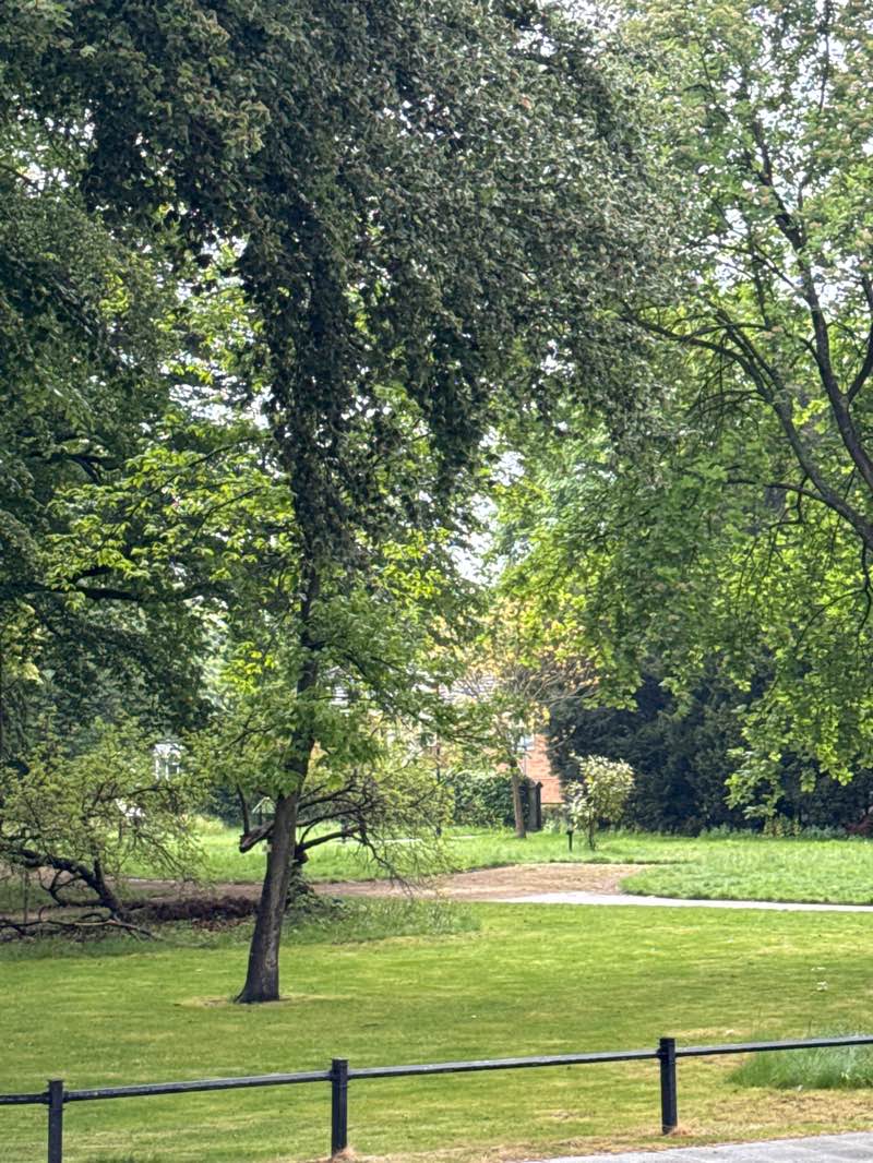 walking near me in Cheadle Green in spring