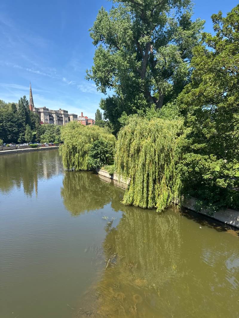 walking near me in Abbey Gardens in summer