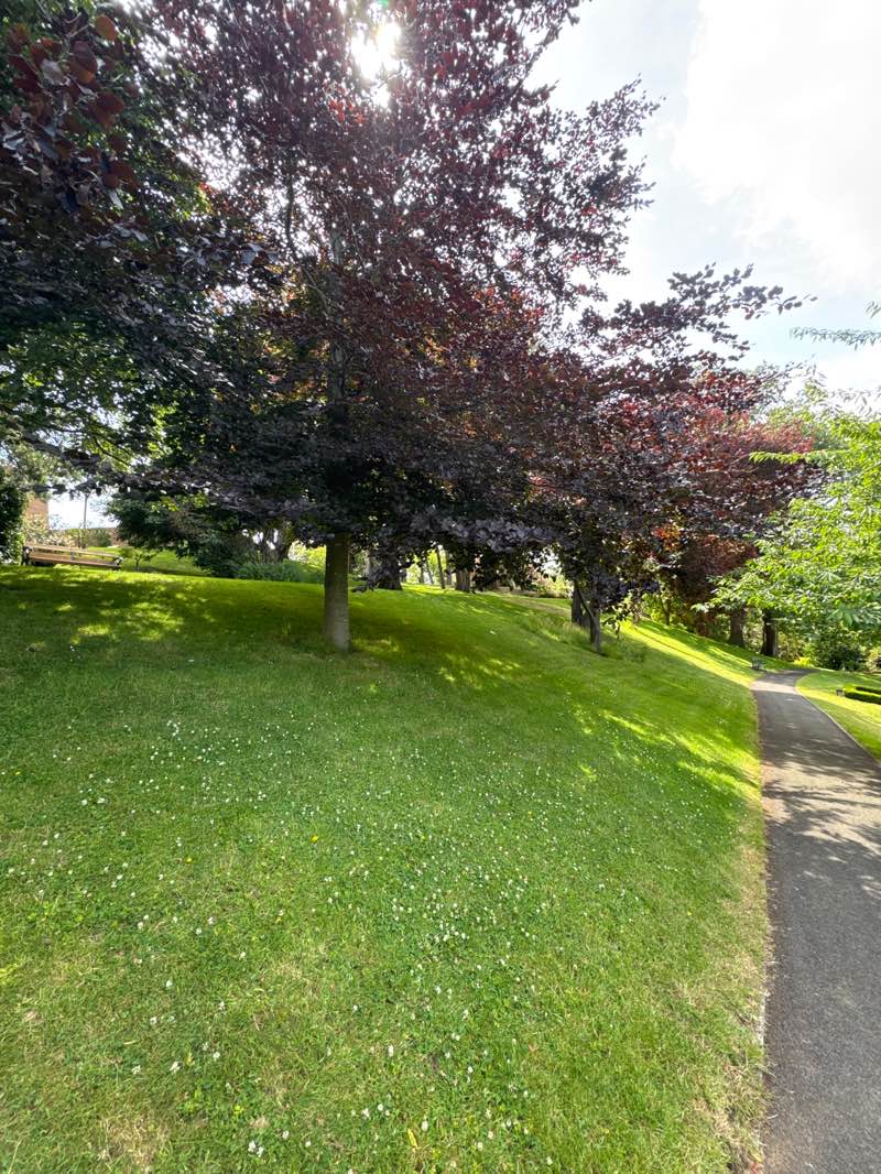 walking near me in Pannett Park in summer