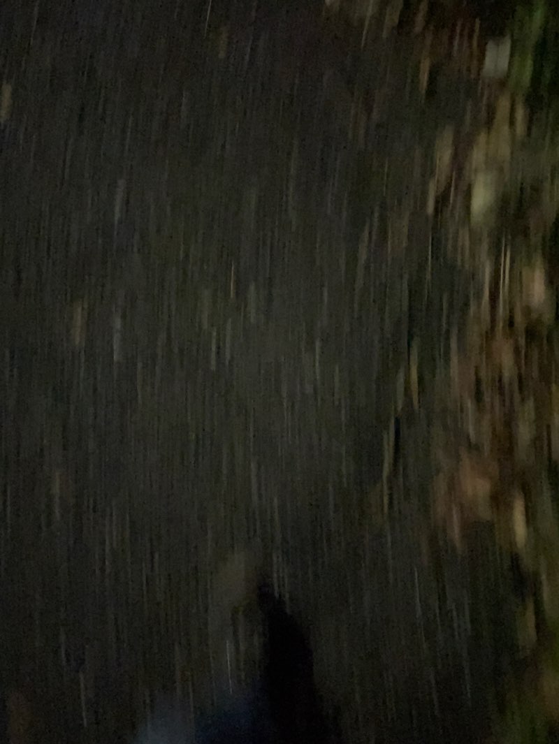 walking near me in Maeyama Park / Komine Ryokuchi in autumn