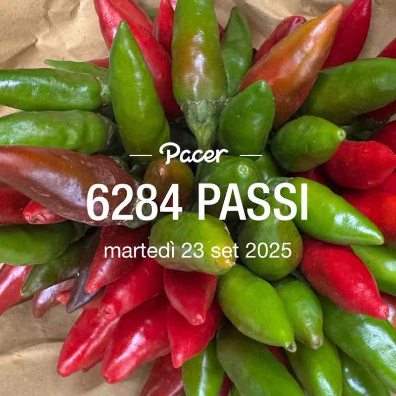 U.net76 U.net76 post image