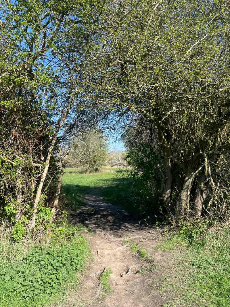 walking near me in Hutton Country Park in spring