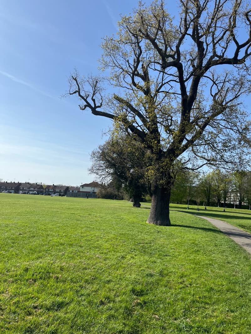 walking near me in Hutton Playing Fields in spring