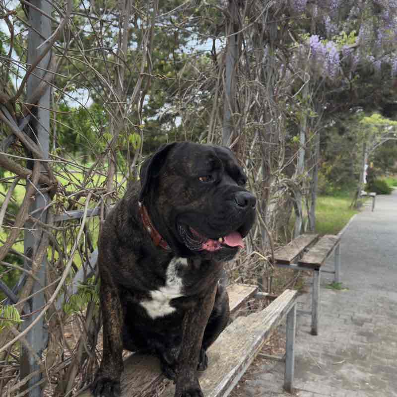 Андрей post 3