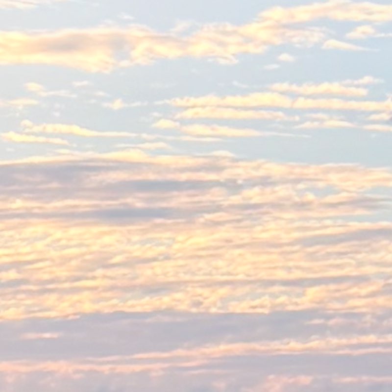 Tugwellito 21🇵🇷 post 1