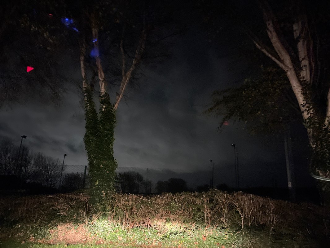 walking near me in William Arnold Silcock Memorial Playing Field in autumn
