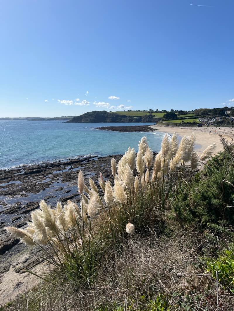 walking near me in Gyllyngdune Gardens in autumn